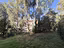 Immagine 28