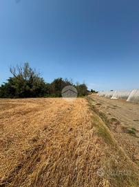 TER. AGRICOLO A CESENATICO