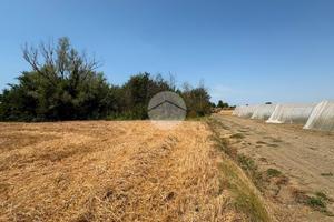 TER. AGRICOLO A CESENATICO