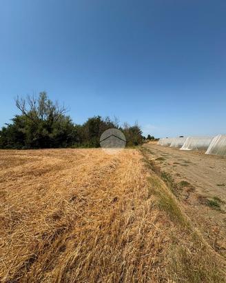 TER. AGRICOLO A CESENATICO