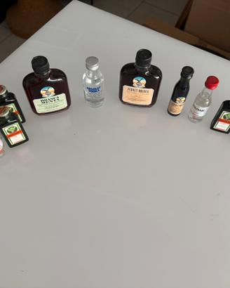 Mix Mignon campioncini di varie bevande