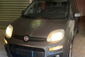 PANDA 69 CV 1.2  GPL di serie (neopatentati)