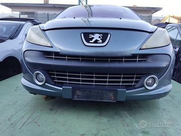 Paraurti anteriore PEUGEOT 207 del 2007