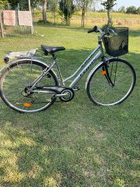 Bicicletta donna