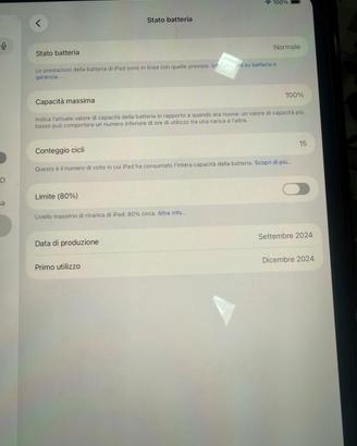 IPad Pro M4 13”