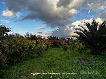 Terreno, Centro di Villagrazia, Carini.