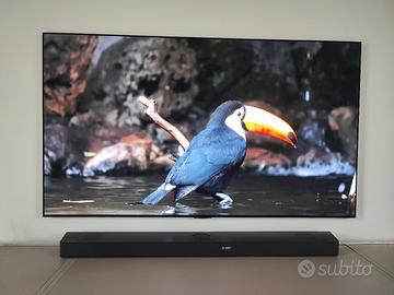 TV OLED Evo G3 65" 4K