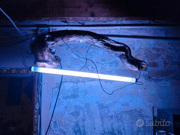 lampada per arredo casa ,locale/acquario terrario