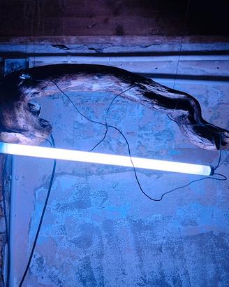 lampada per arredo casa ,locale/acquario terrario