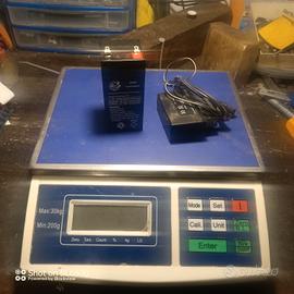 BILANCIA DI CONTEGGIO DIGITALE 