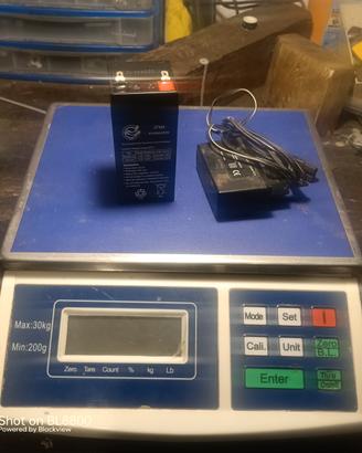 BILANCIA DI CONTEGGIO DIGITALE 