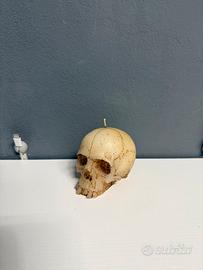 Skull Candle Assassin’s Creed IV Black Flag