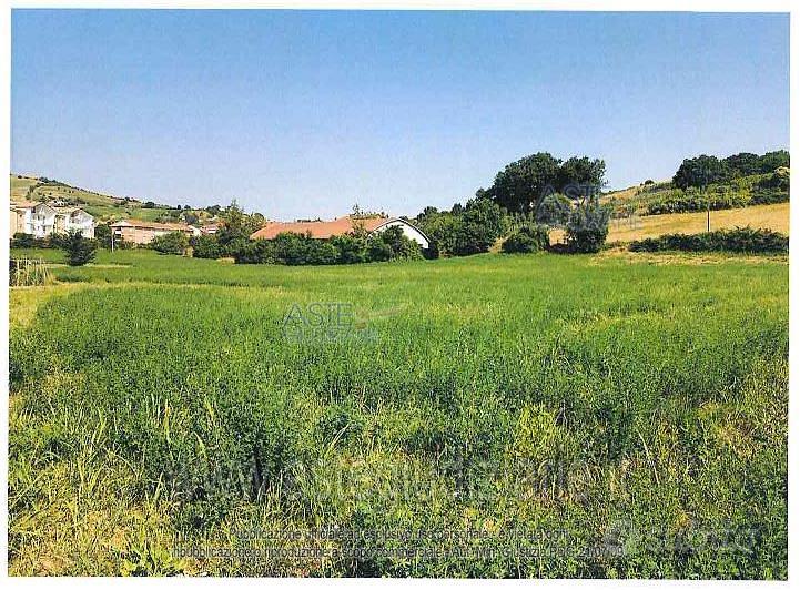Terreno Agricolo Maiolati Spontini [A4352819] - Vista 4