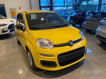 FIAT Panda 1.0 Hybrid/ PRONTA CONSEGNA/VARI COL