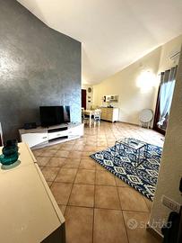 Bilo olbia mare da subito sino al 31/10/2026