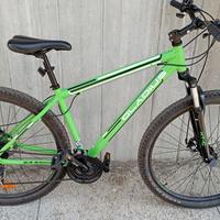 Bicicletta colore verde