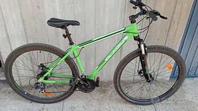 Bicicletta colore verde