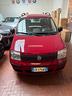 fiat-panda-1-1-actual