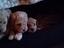 Immagine 6