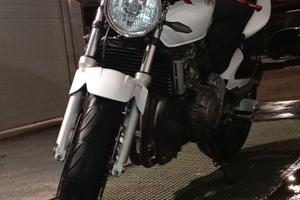 Hornet 600