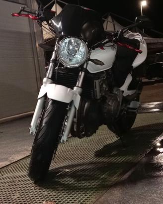 Hornet 600
