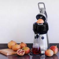 SPREMIAGRUMI PROFESSIONALE