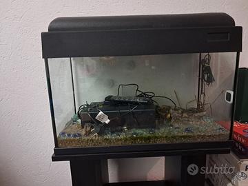 Acquario 60 lt