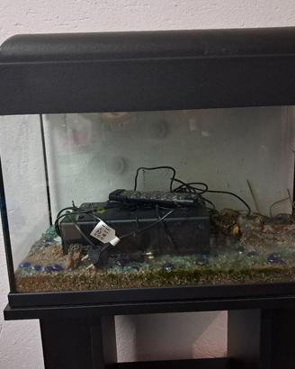 Acquario 60 lt
