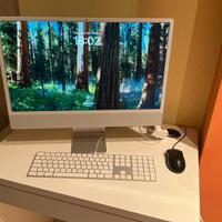 IMAC 24 POLLICI