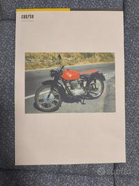 MV Augusta - 175 - 1952