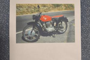 MV Augusta - 175 - 1952