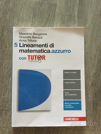 Lineamenti di matematica.azzurro 5