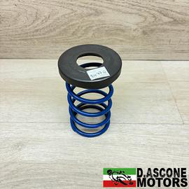 EVO SLIDER E MOLLA BLU POLINI TMAX 500 530 560