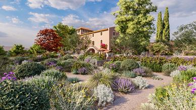 Manutenzione giardini e cura del Verde