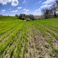 Terreno Agricolo