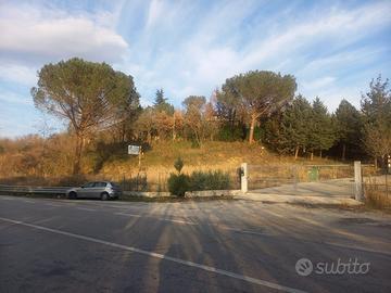 Fabbricati con terreno