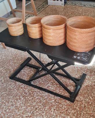 cestini 