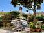 Immagine 26