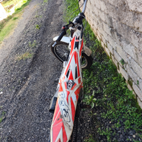 Beta evo 300 del 2016