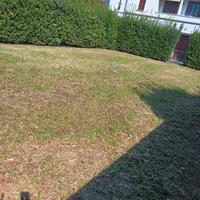 Posti auto / camper / roulotte