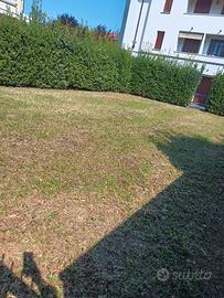 Posti auto / camper / roulotte