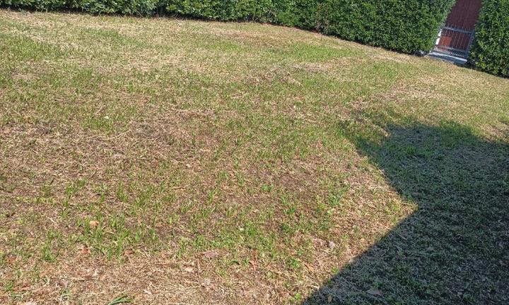 Posti auto / camper / roulotte