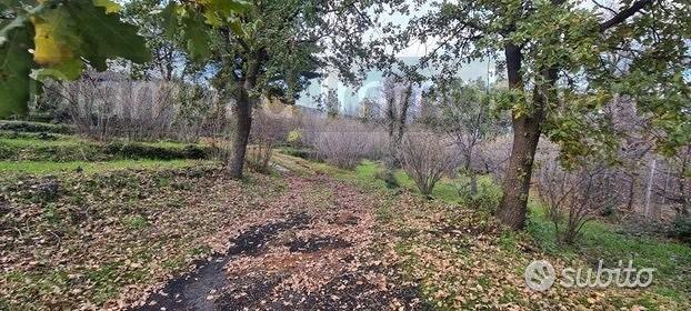 Terreno 22.260 mq con rustici a sant'alfio - Altro