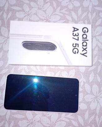 Samsung Galaxy A387 5G