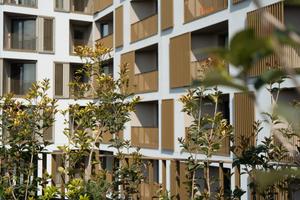 City Pop - M con balcone
