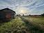 Immagine 19