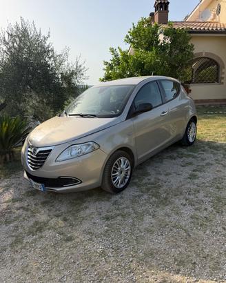 Lancia Ypsilon 1.3 MJT 16V 95 CV 5 porte S&S Plati