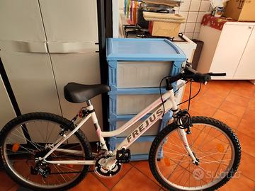 Biciclette Mountain Bike (leggere descrizione)