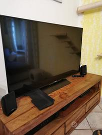 TV Sony Bravia LCD 55" non funzionante