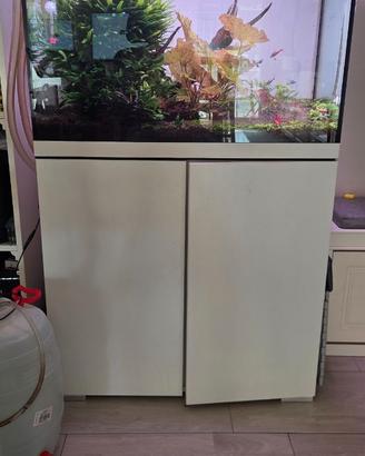 Acquario Oase +Filtro esterno+LampadaChihiros WRGB